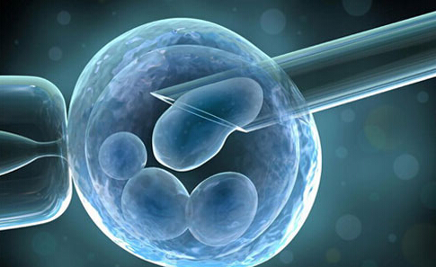 安孕冻胚移植专科